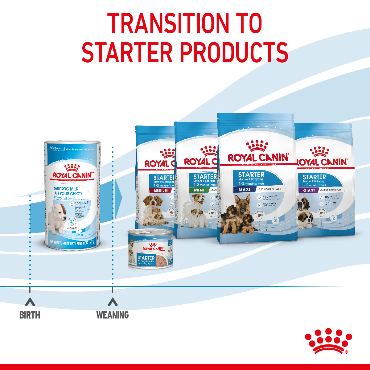 Royal Canin Size Health Puppy Milk Powder 400g