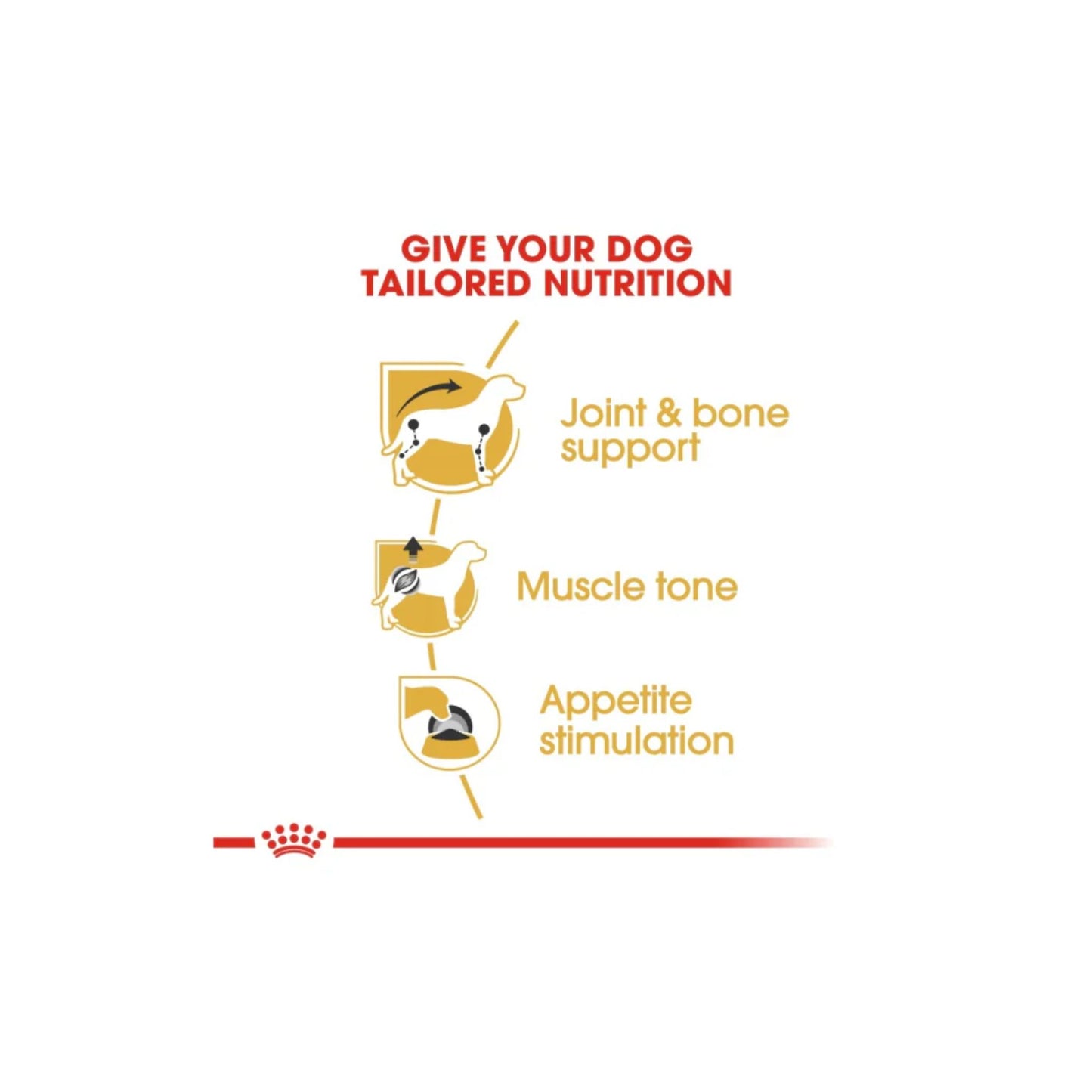 Royal Canin Breed Health Nutrition Dachshund Adult Wet Food