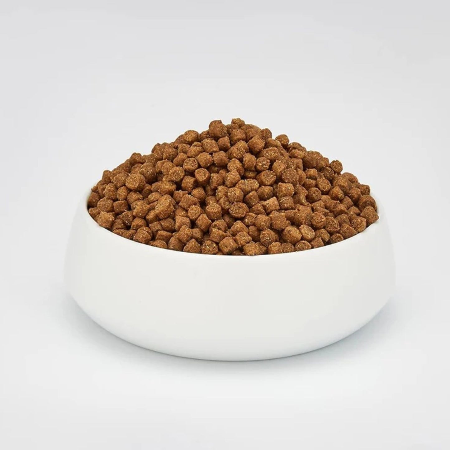 White bowl filled with brown pet food on a white background