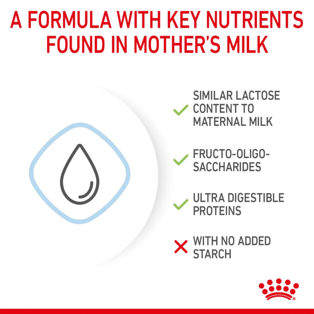 Royal Canin Size Health Puppy Milk Powder 400g