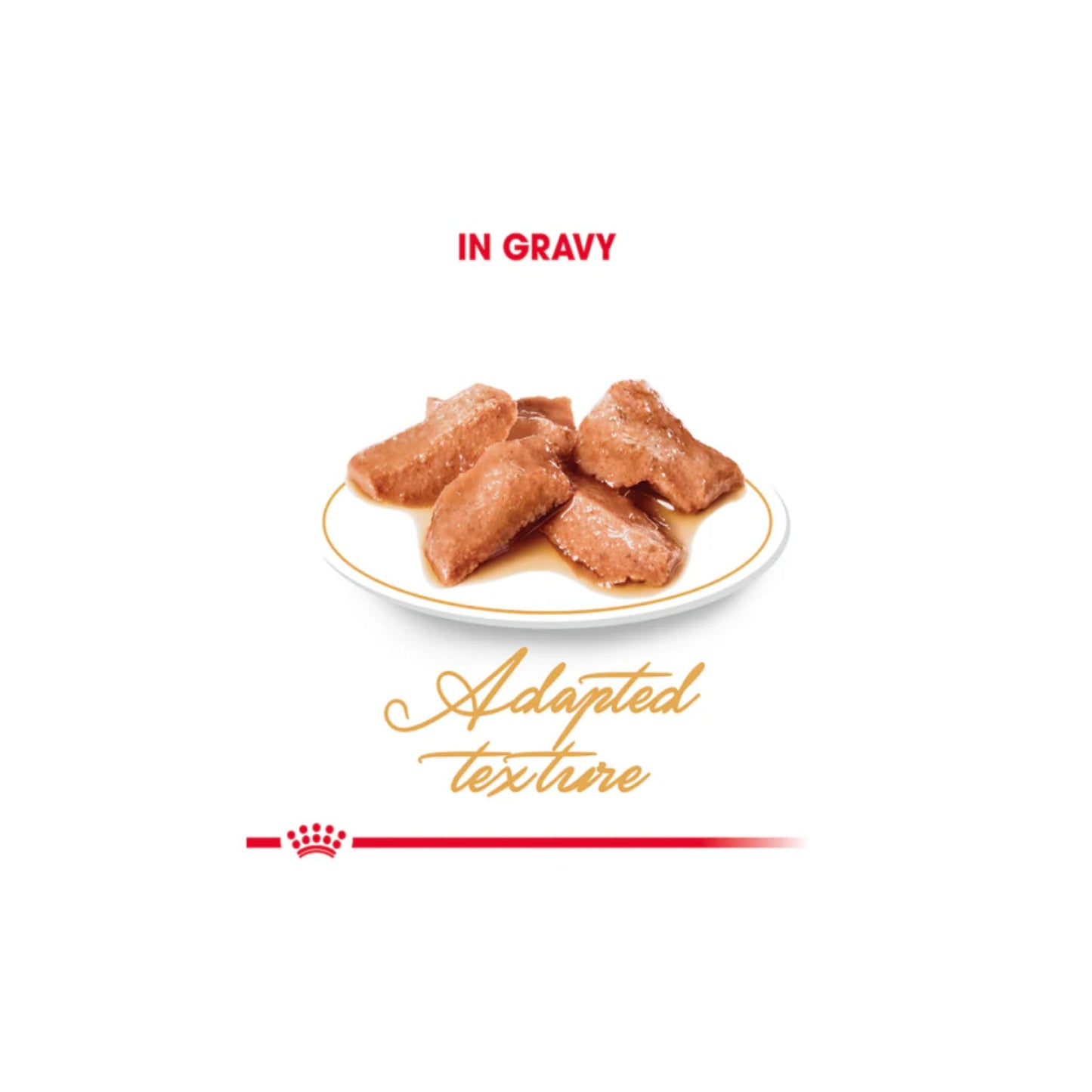 Dog food in gravy on a white plate with text 'In Gravy' and 'Adapted Texture' on a white background.
