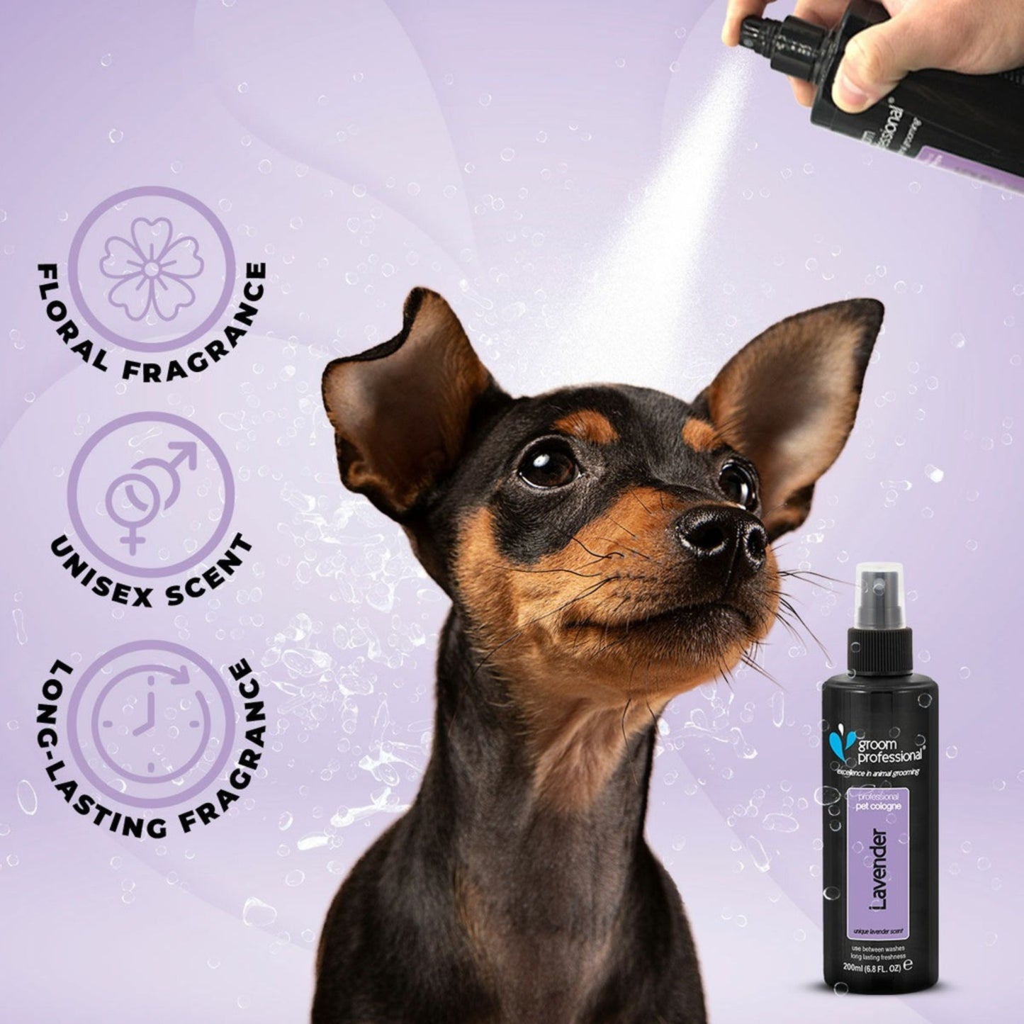 Dog being sprayed with a floral fragrance product against a light purple background
