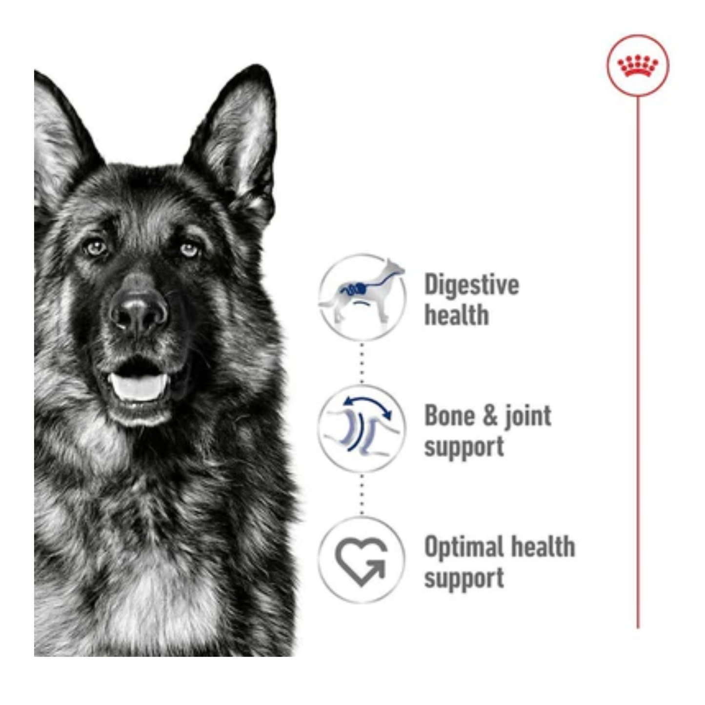 Royal Canin Health Nutrition Maxi Adult Wet Food