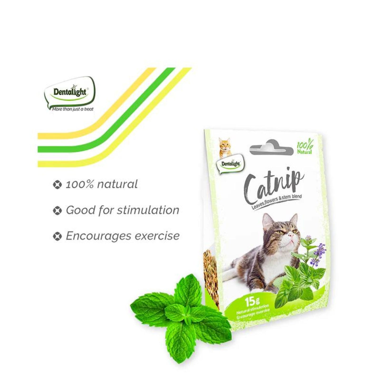 Catnip package with cat illustration and mint leaves on a white background