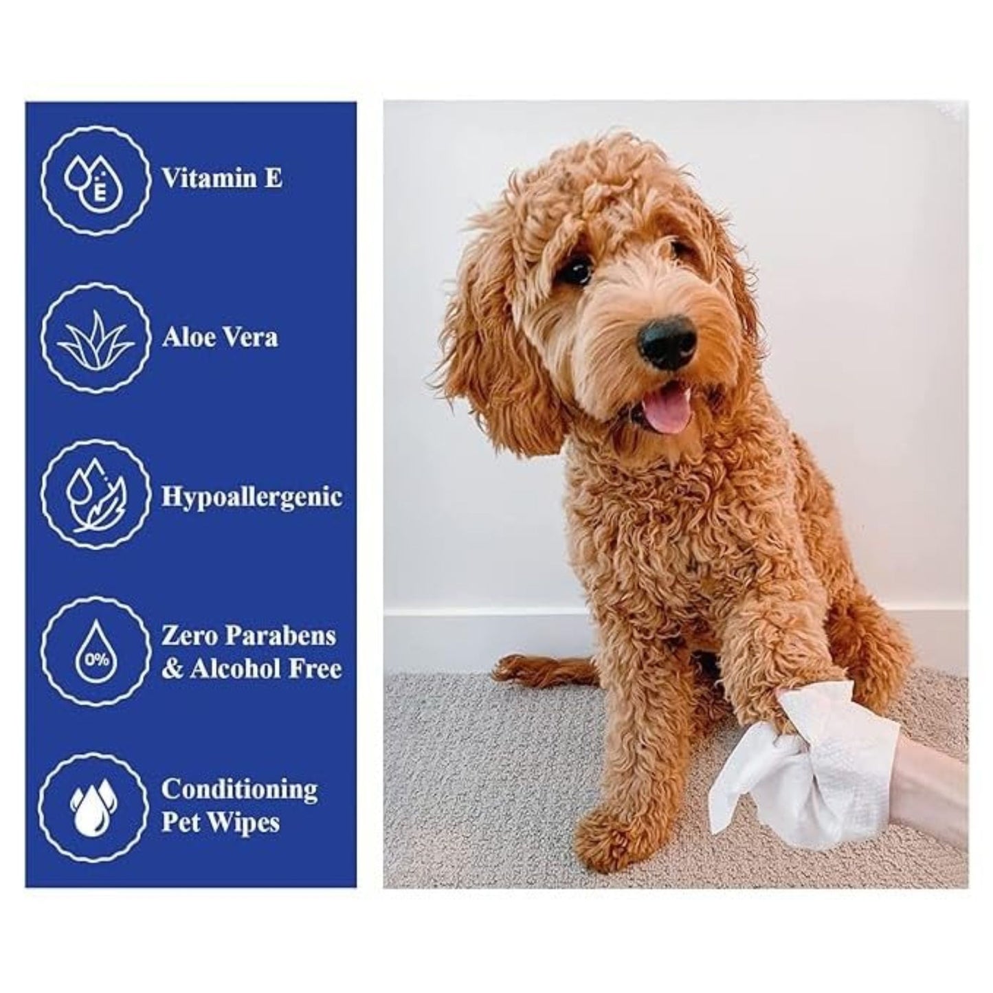 Kit Cat 5 In 1 Aloe Vera Scented Cat Wipes