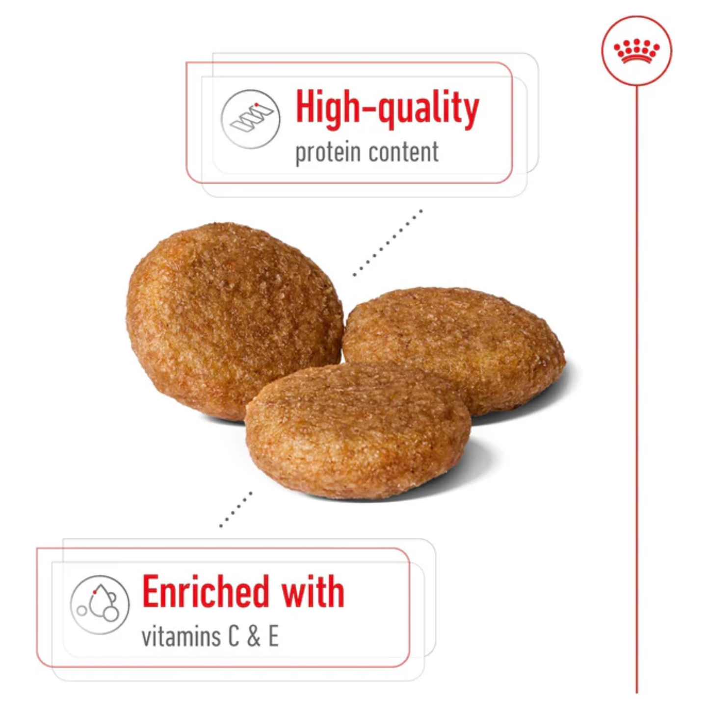 Royal Canin Medium Adult Healthy Dog Food