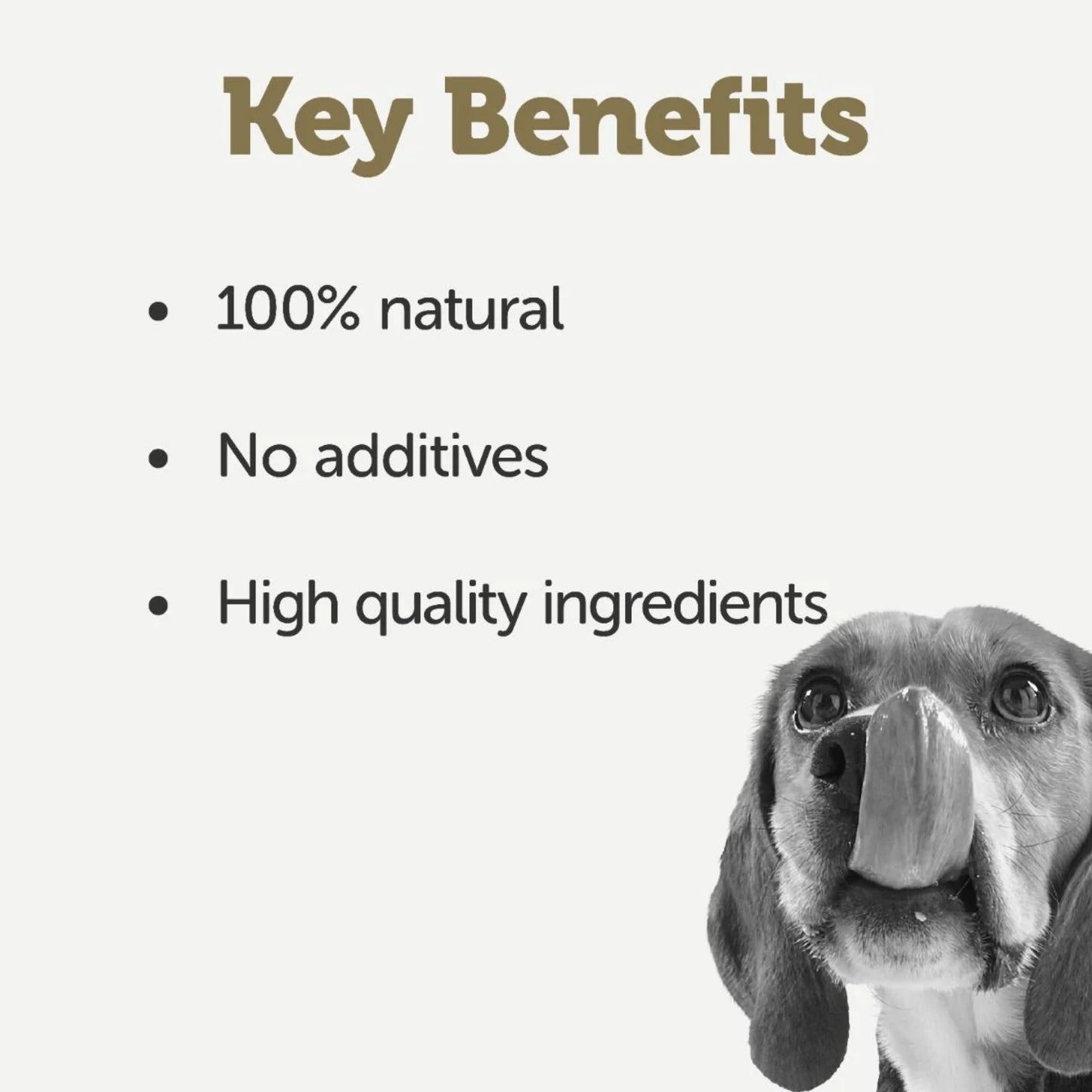 Dog with text listing key benefits on a white background