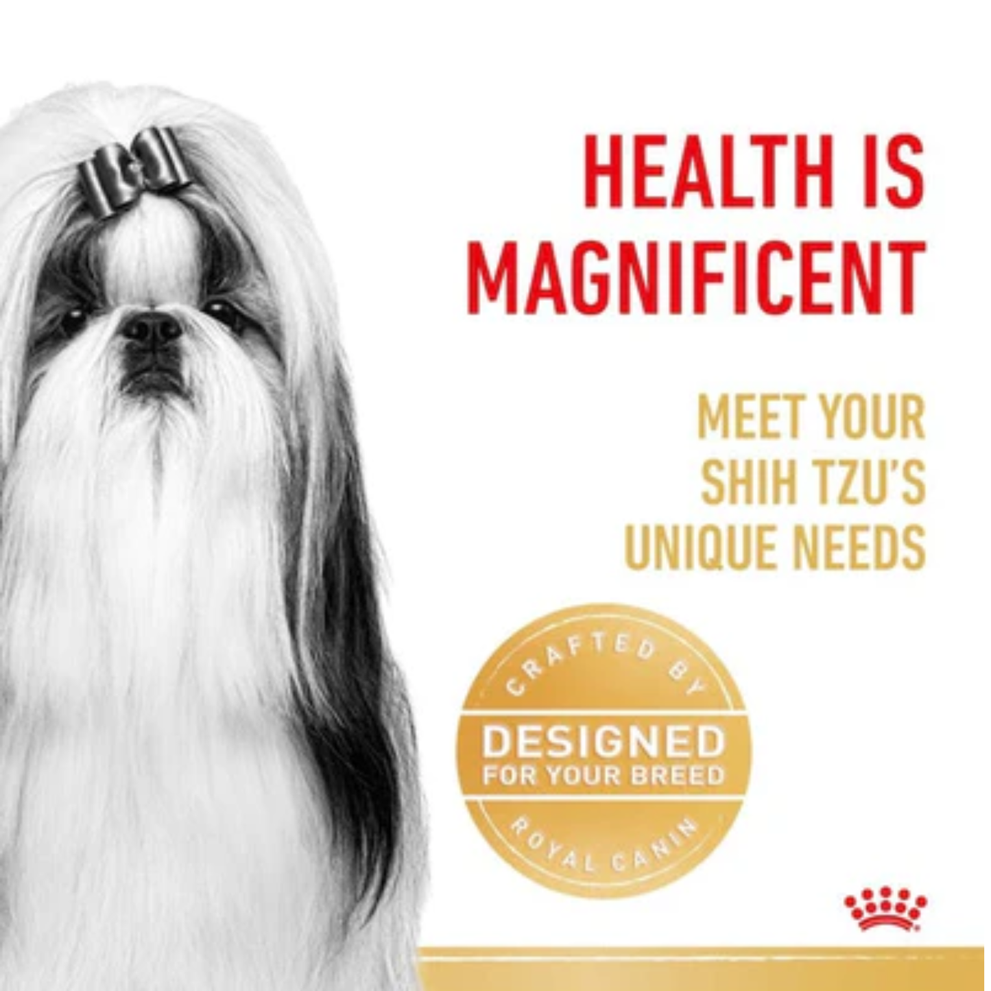 Royal Canin Breed Health Nutrition Shih Tzu Wet Food