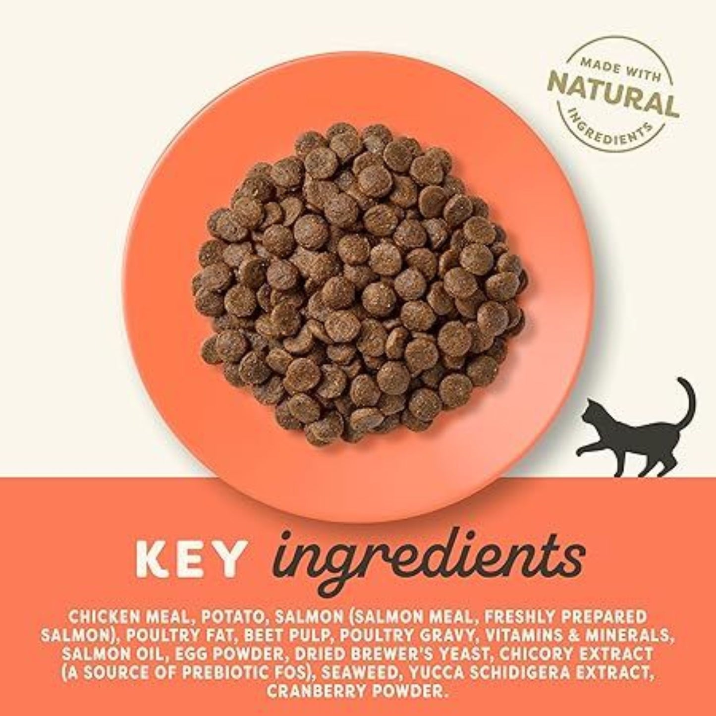 Cat food bowl with key ingredients listed on an orange background