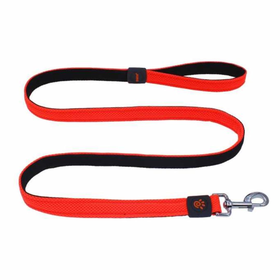 Doco Jelly Bean Dog Leash - 5Ft