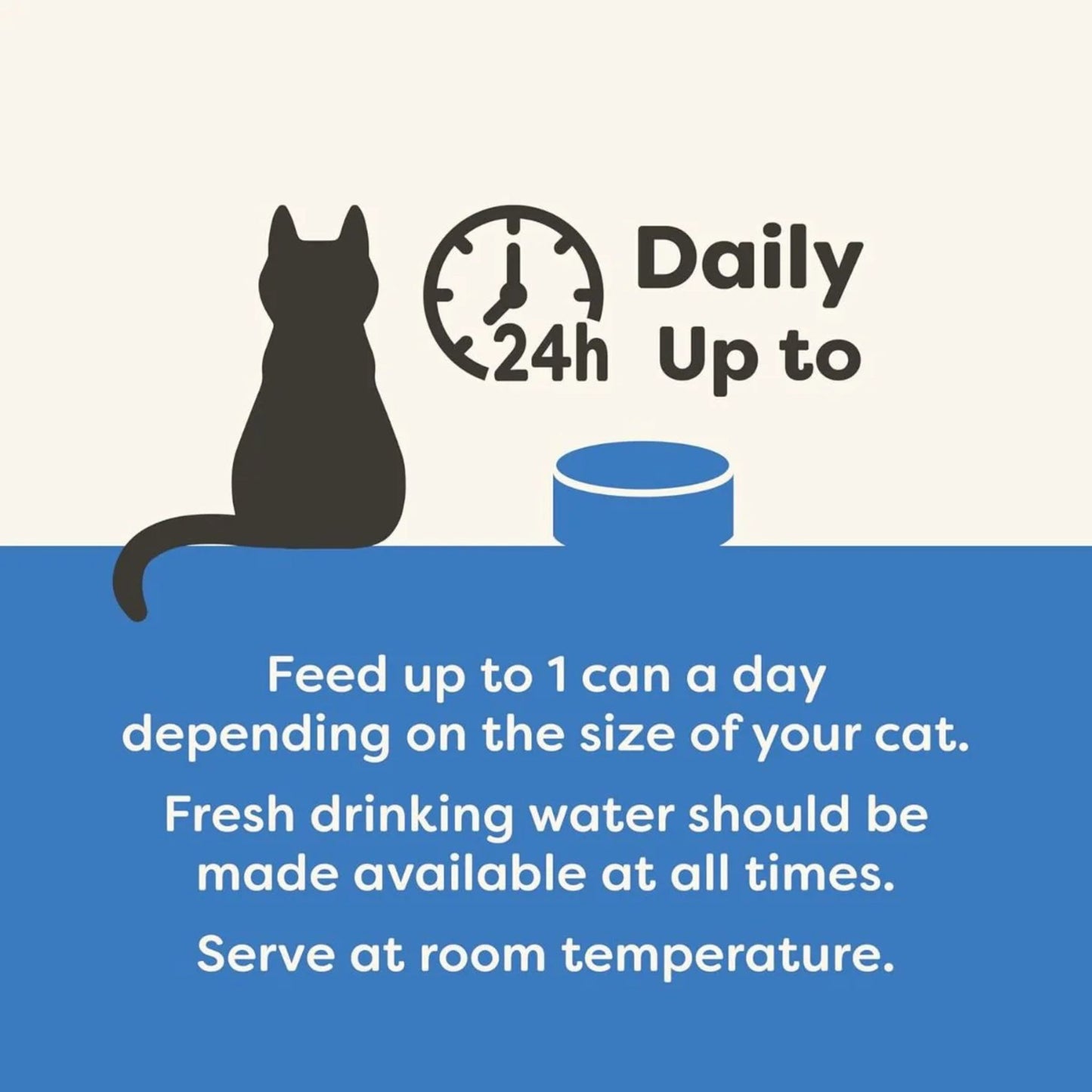 Cat feeding instructions with a clock, bowl, and text on a blue and white background