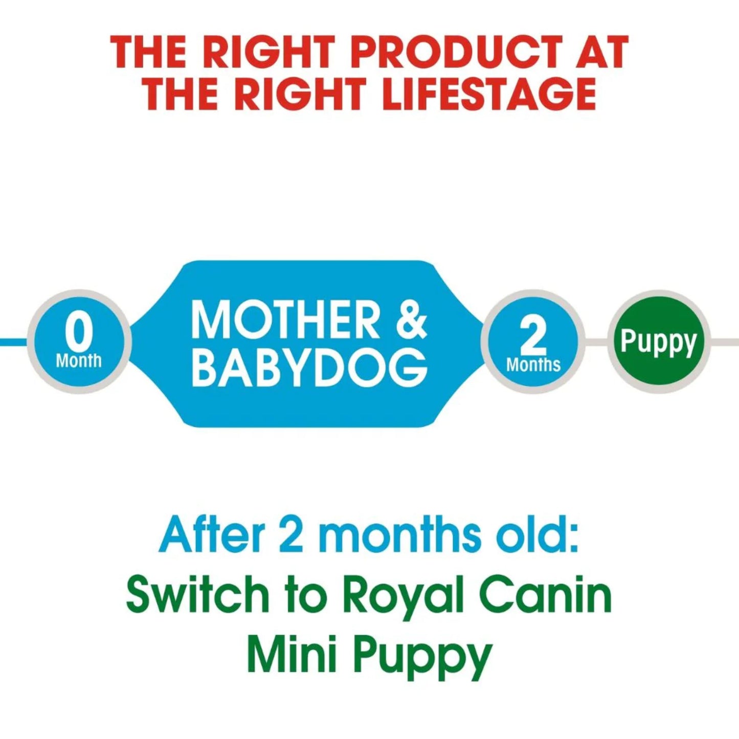 Royal Canin Size Health Mini Starter Dry Dog Food - 1kg