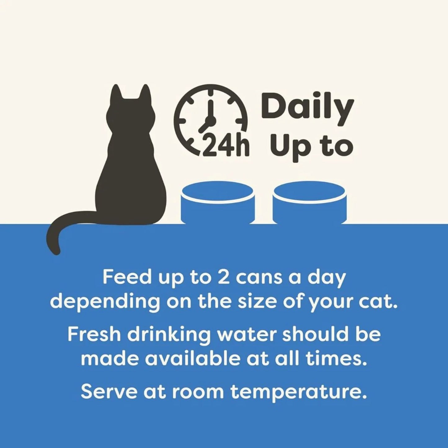 Cat feeding information with a cat and two blue bowls on a white background.