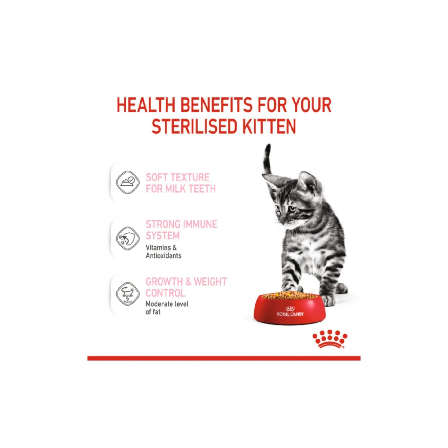 Advertisement for Royal Canin cat food with a kitten on a white background