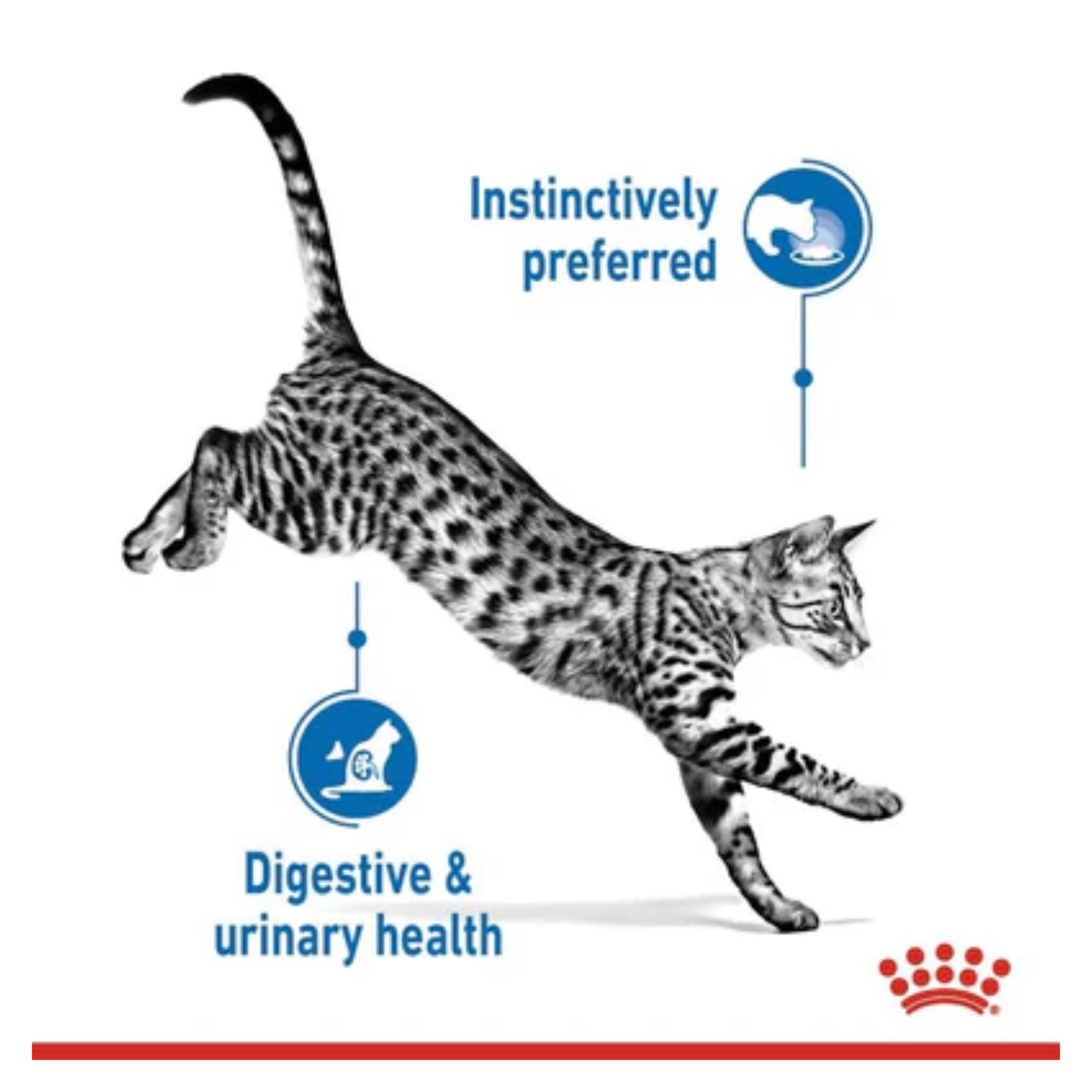 Cat brand packaging with a cat illustration and text about digestive and urinary health on a white background.