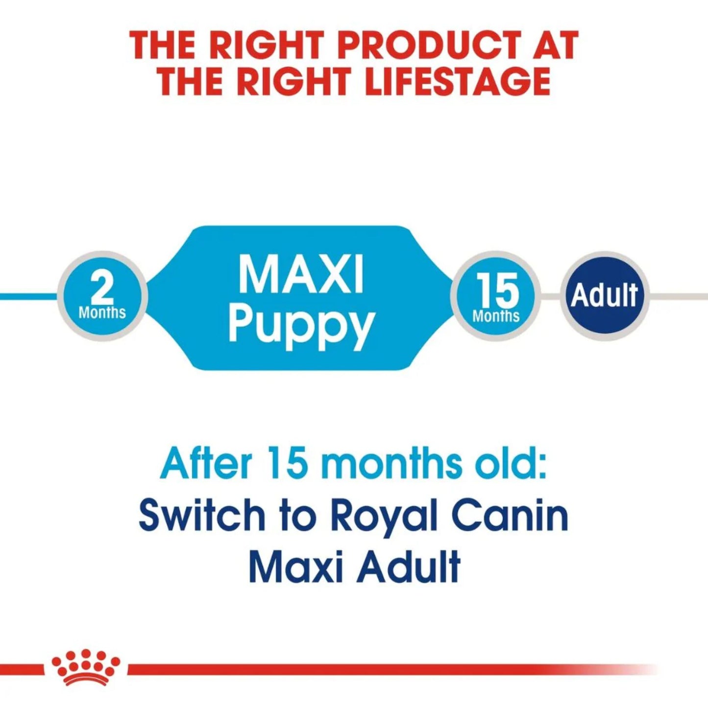 Royal Canin Maxi Puppy Healthy Dry Food
