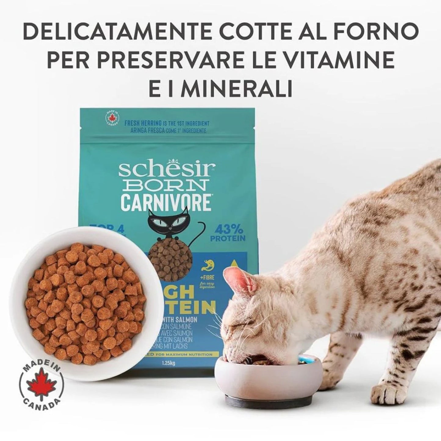 Schesir Born Carnivore Herring & Salmon Dry Cat Food - 1.25kg