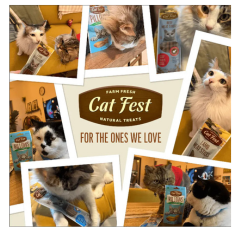 Cat Fest Pillows With Beef Cream Cat Treats - 30g