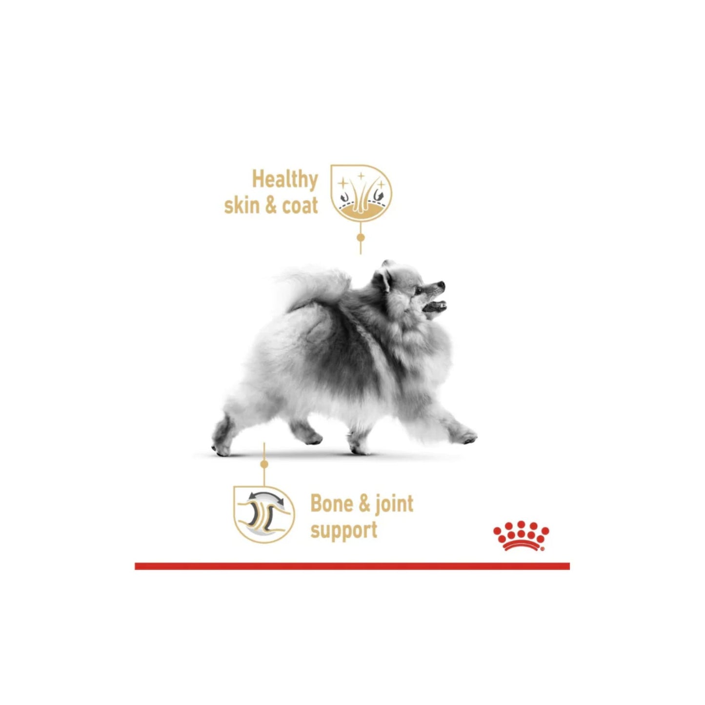 Dog walking on a white background with text about healthy skin, coat, bone, and joint support.