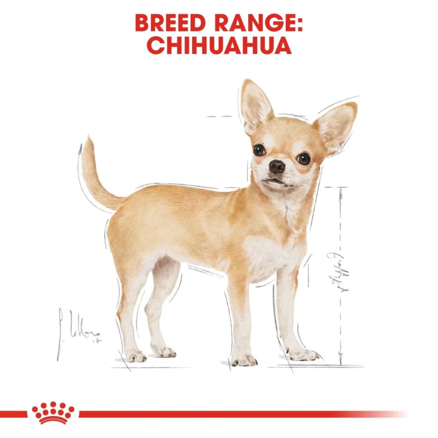 Royal Canin Breed Health Nutrition Chihuahua Adult Dry Food - 1.5kg