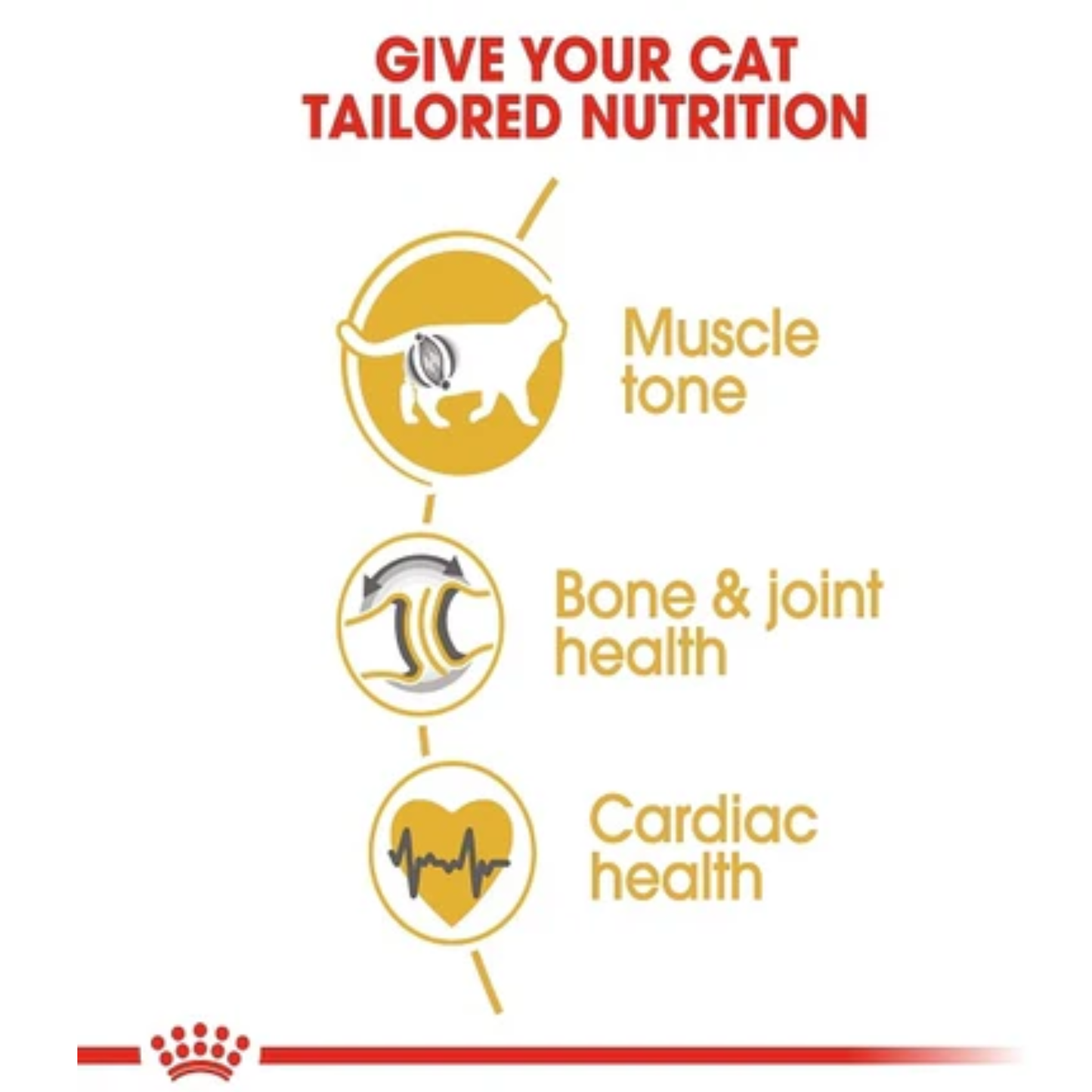 Royal Canin Feline Breed Nutrition British Shorthair Adult Dry Food