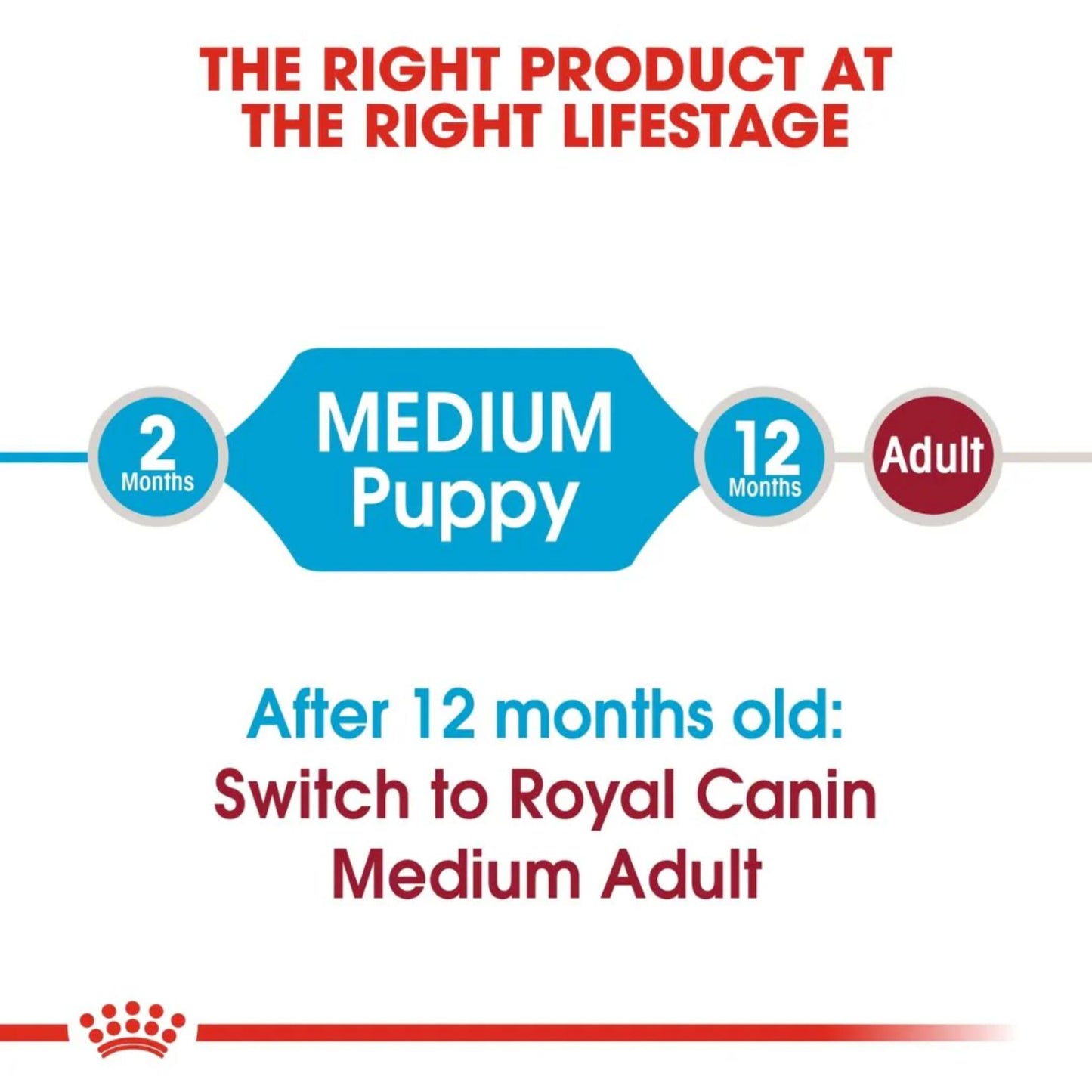 Royal Canin Medium Puppy Healthy Dry Food