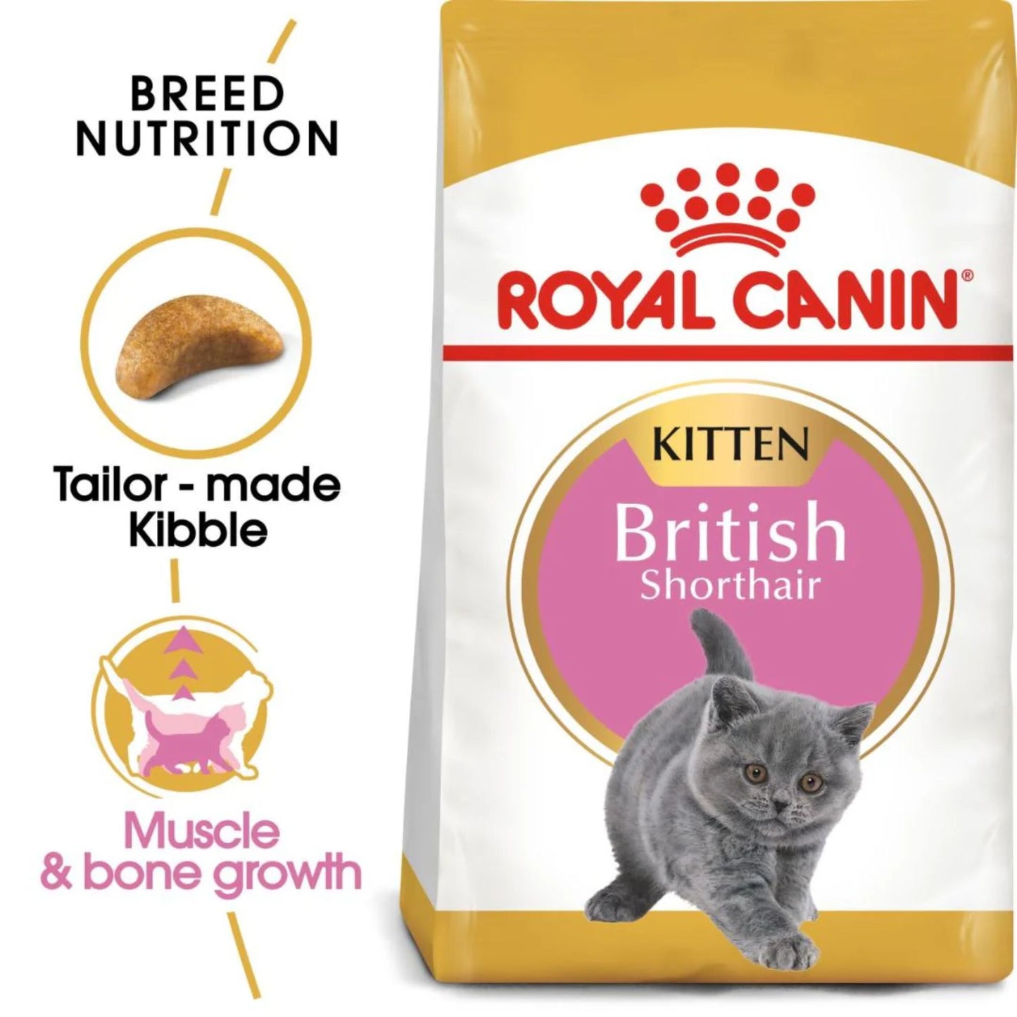 Royal Canin Feline Breed Nutrition British Shorthair Kitten Dry Food - 2kg