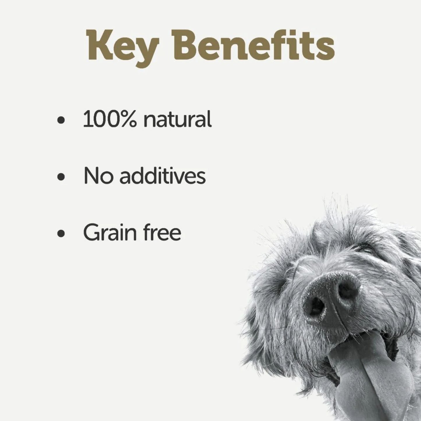 Dog with text listing key benefits of a product on a white background