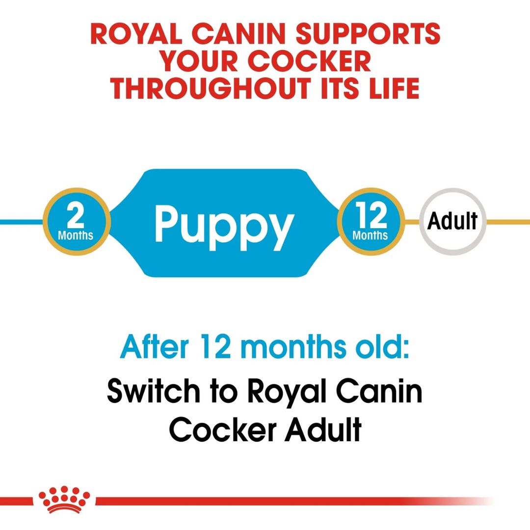 Royal Canin Breed Health Nutrition Cocker Puppy Dry food 3kg