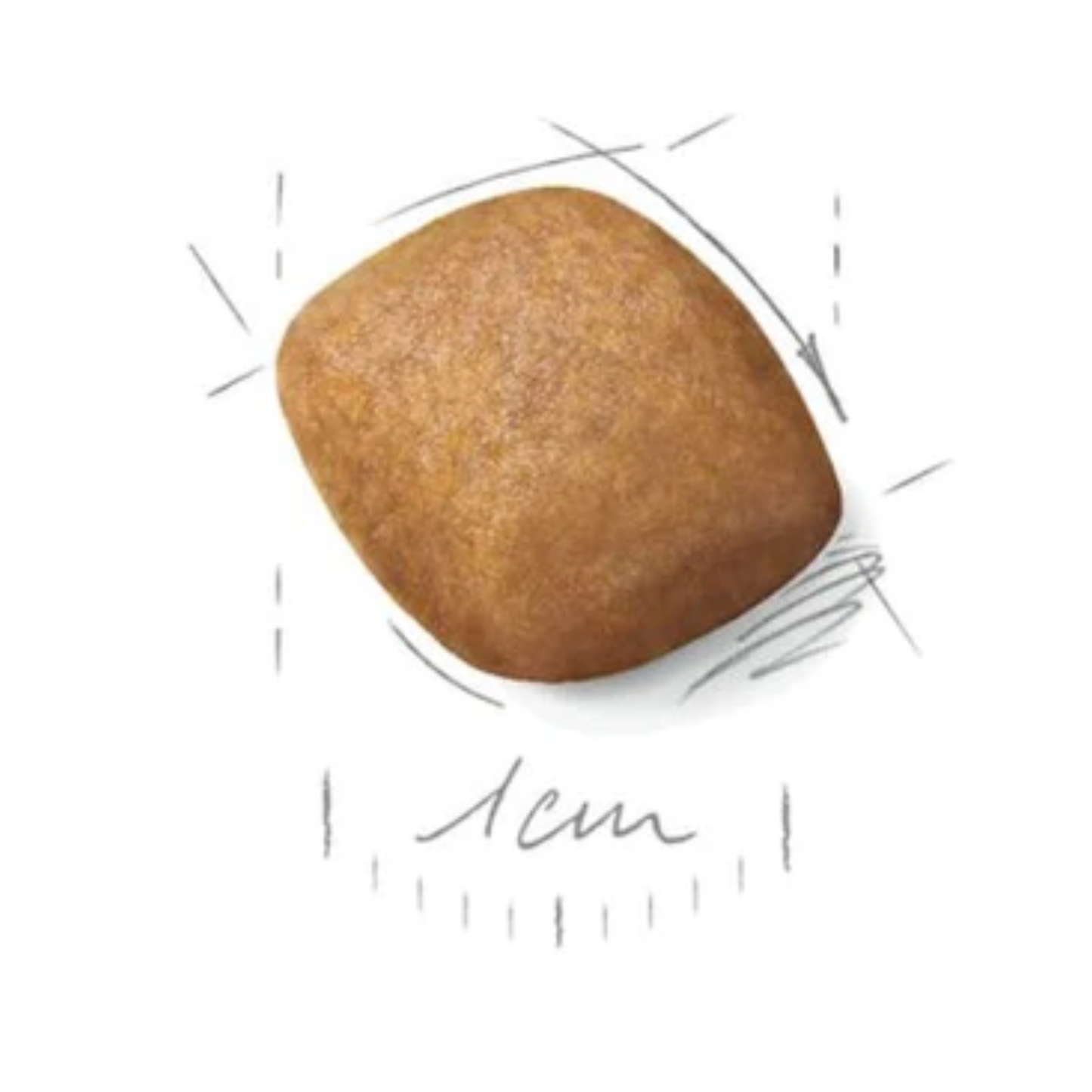 Royal Canin Breed Health Nutrition Pomeranian Adult Dry Food 1.5kg