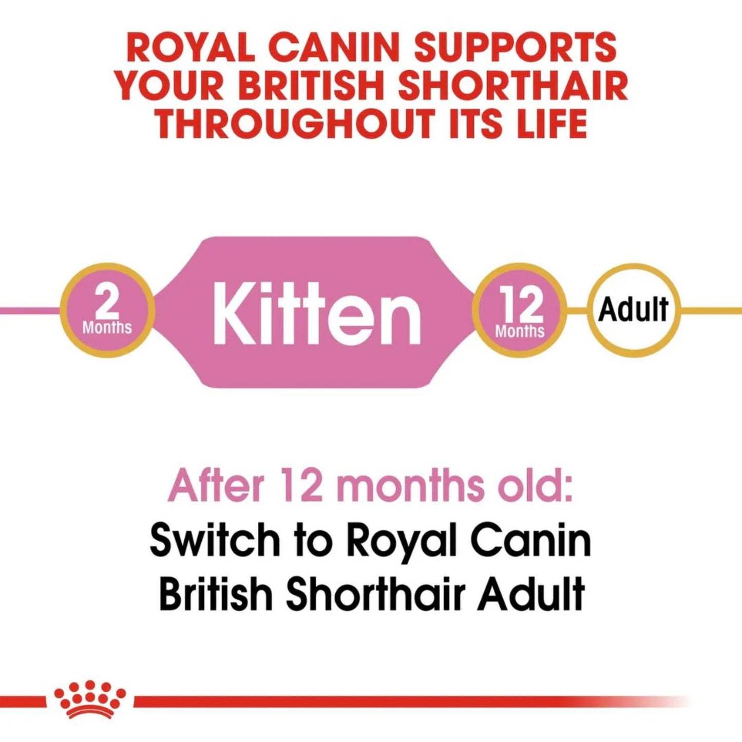 Royal Canin Feline Breed Nutrition British Shorthair Kitten Dry Food - 2kg