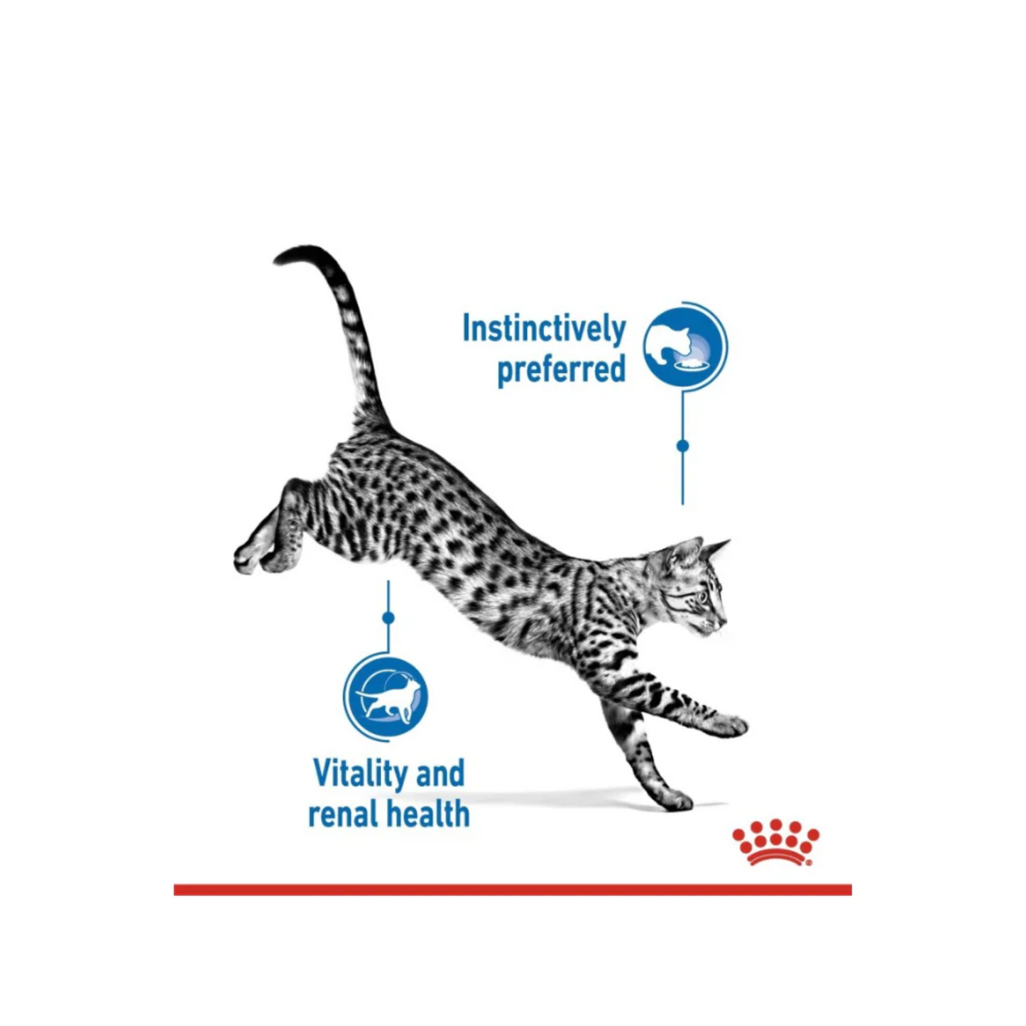 Cat jumping with text 'Instinctively preferred' and 'Vitality and renal health' on a white background
