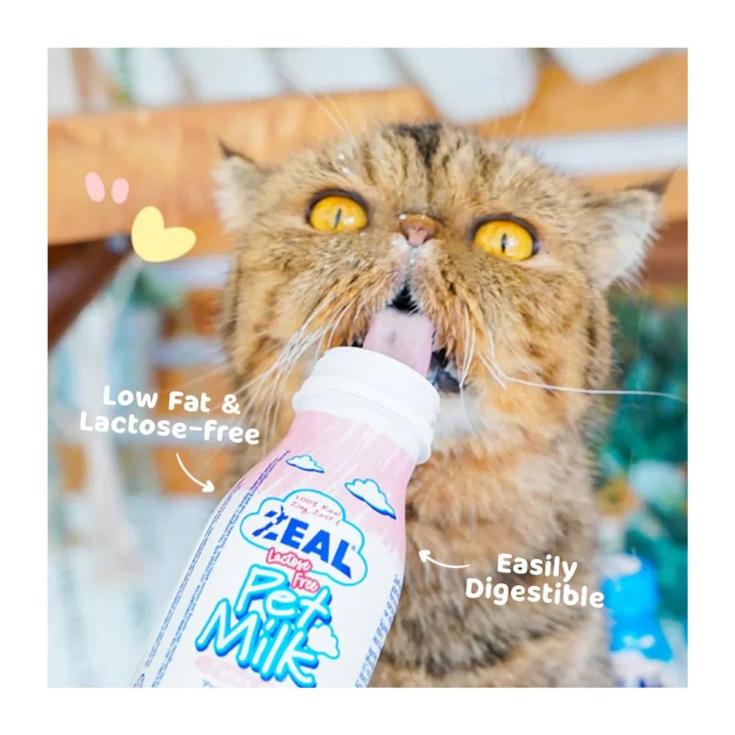 Zeal Cat Milk LactoseFree Feline Nutritional Care - 255ml