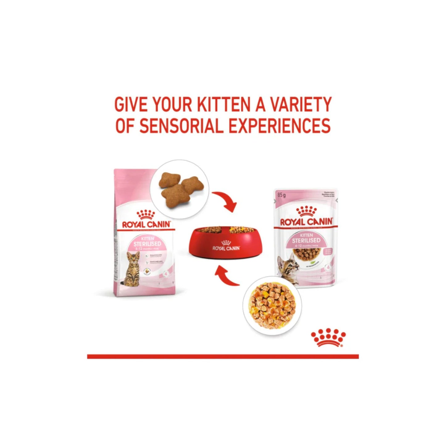 Royal Canin cat food products with text on a white background