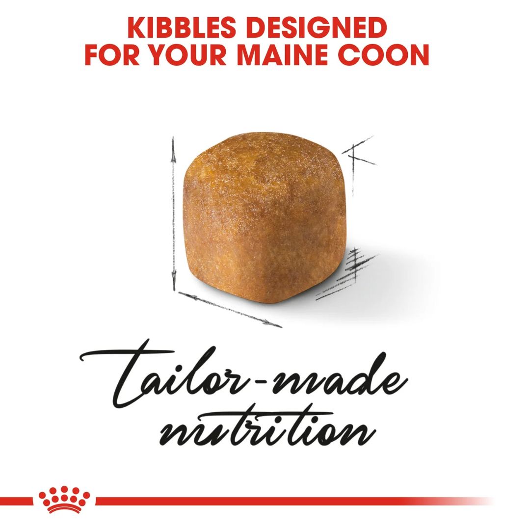 Royal Canin Feline Breed Nutrition Maine Coon Kitten Dry food 2kg