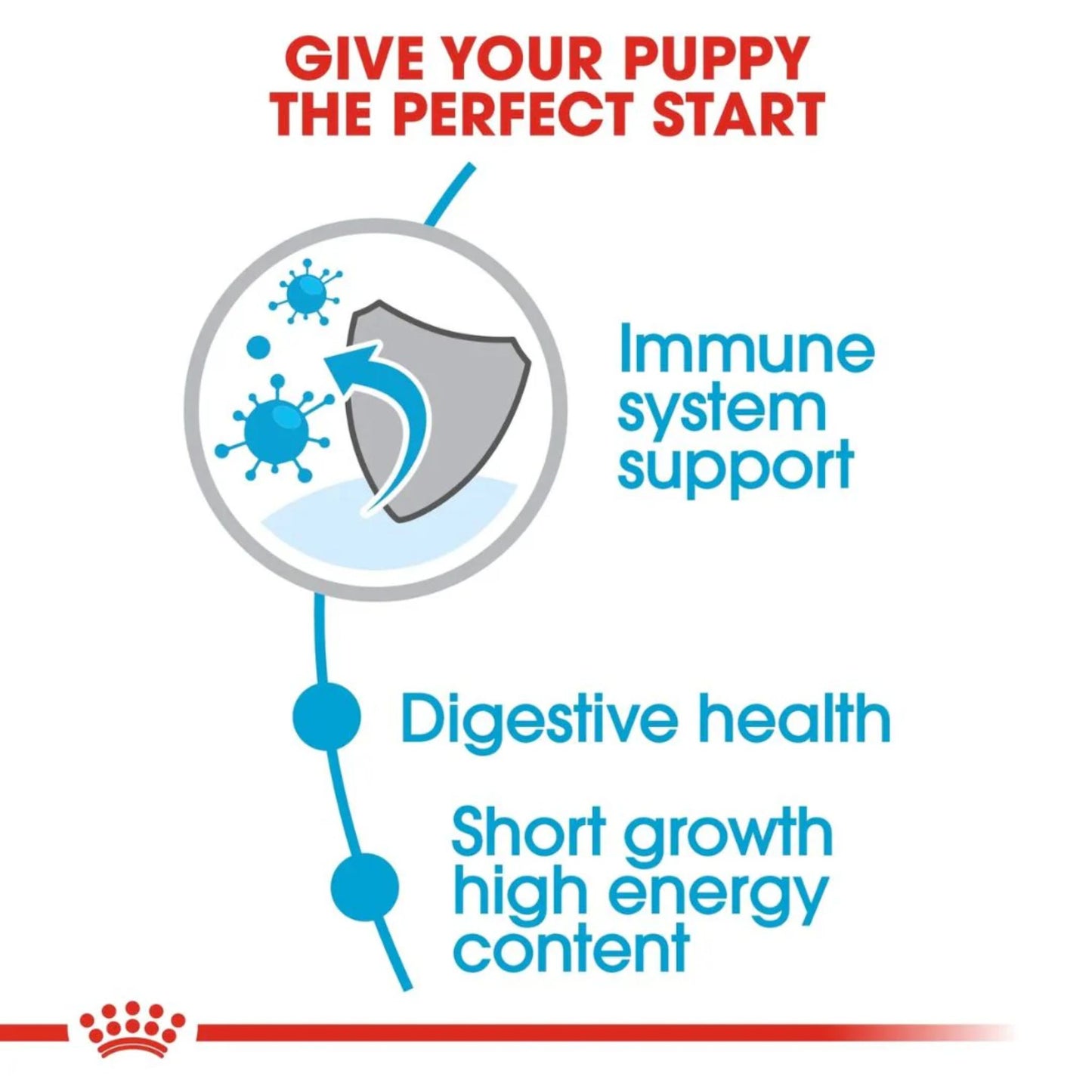 Royal Canin Medium Puppy Healthy Dry Food