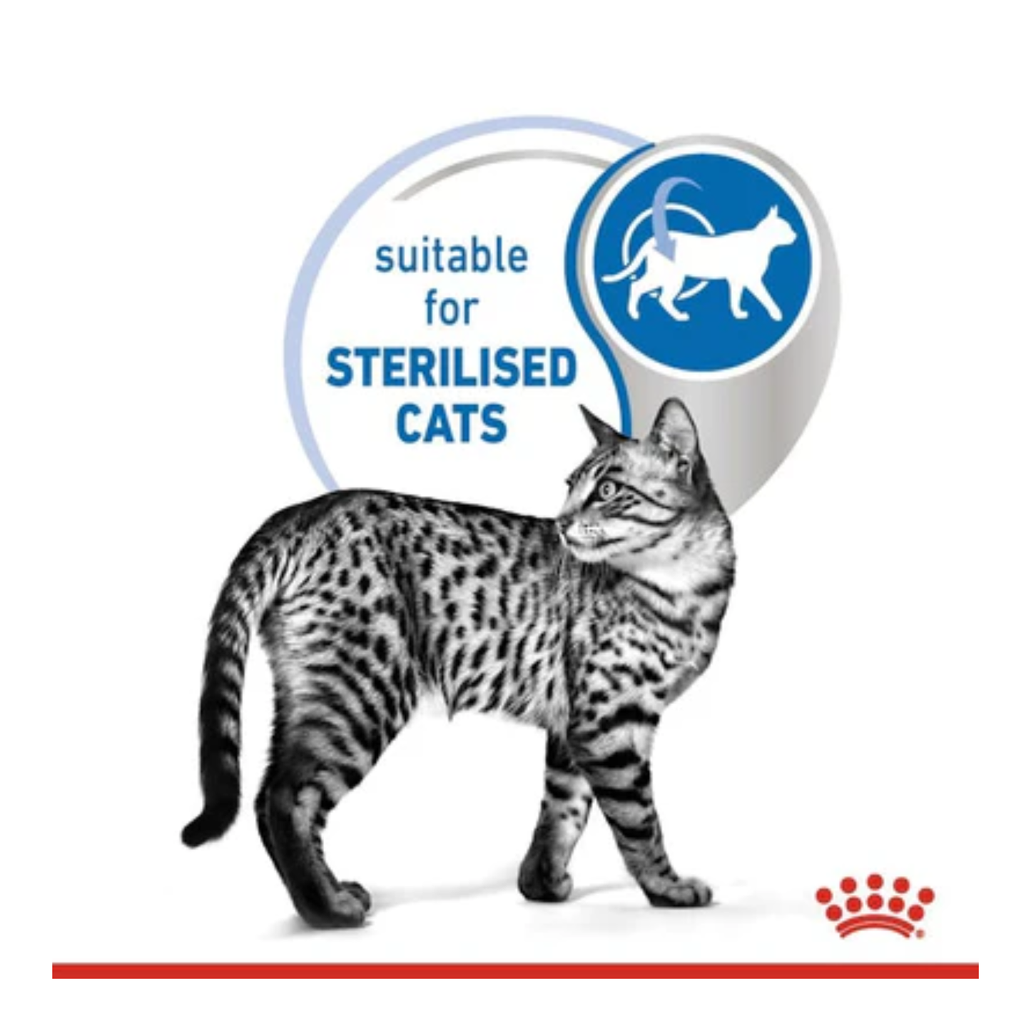 Cat walking on a white background with a 'suitable for sterilised cats' label and Royal Canin logo.