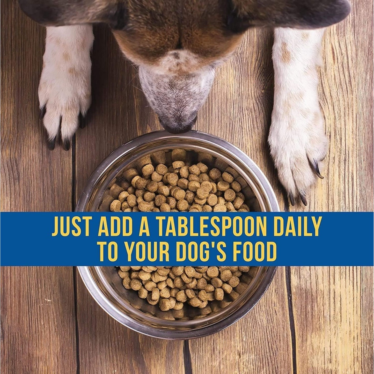 Dog looking into a bowl of kibble with text overlay on a wooden floor.