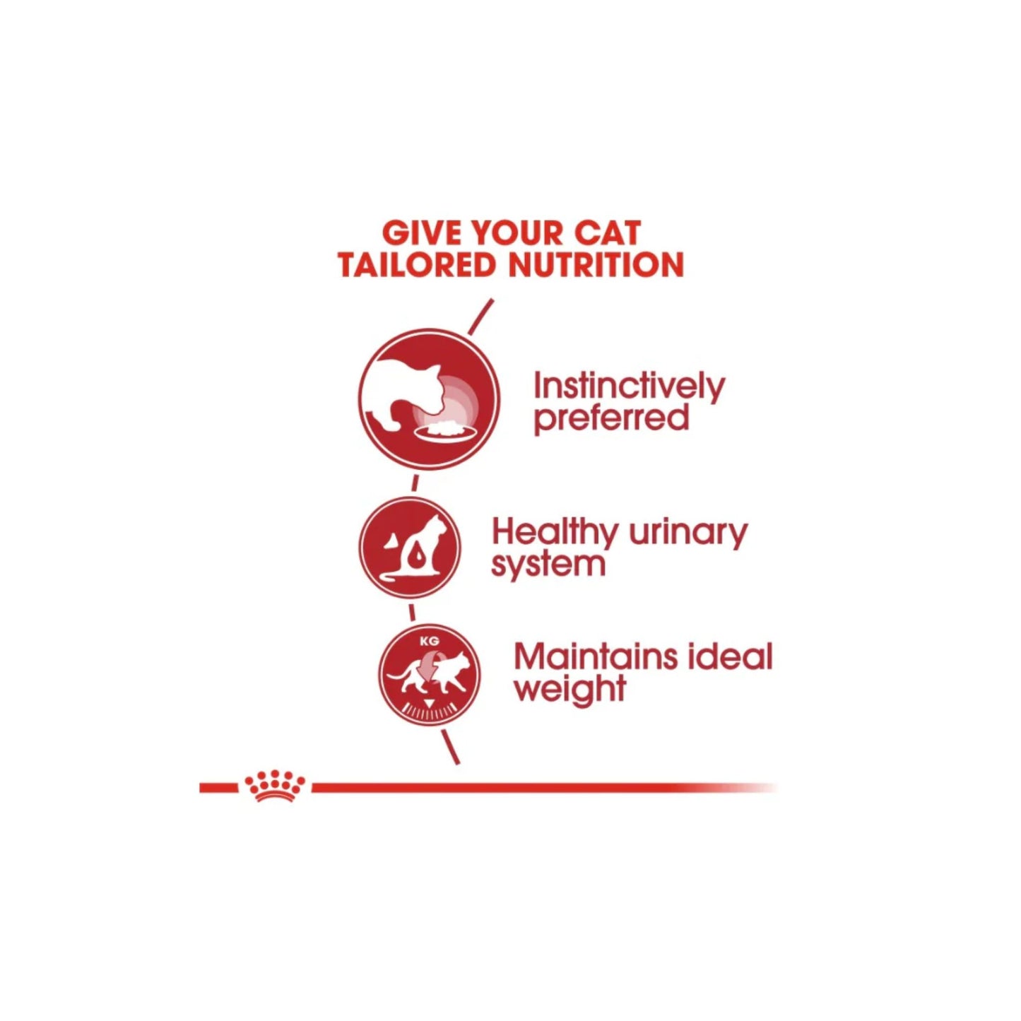 Text and icons about cat nutrition on a white background