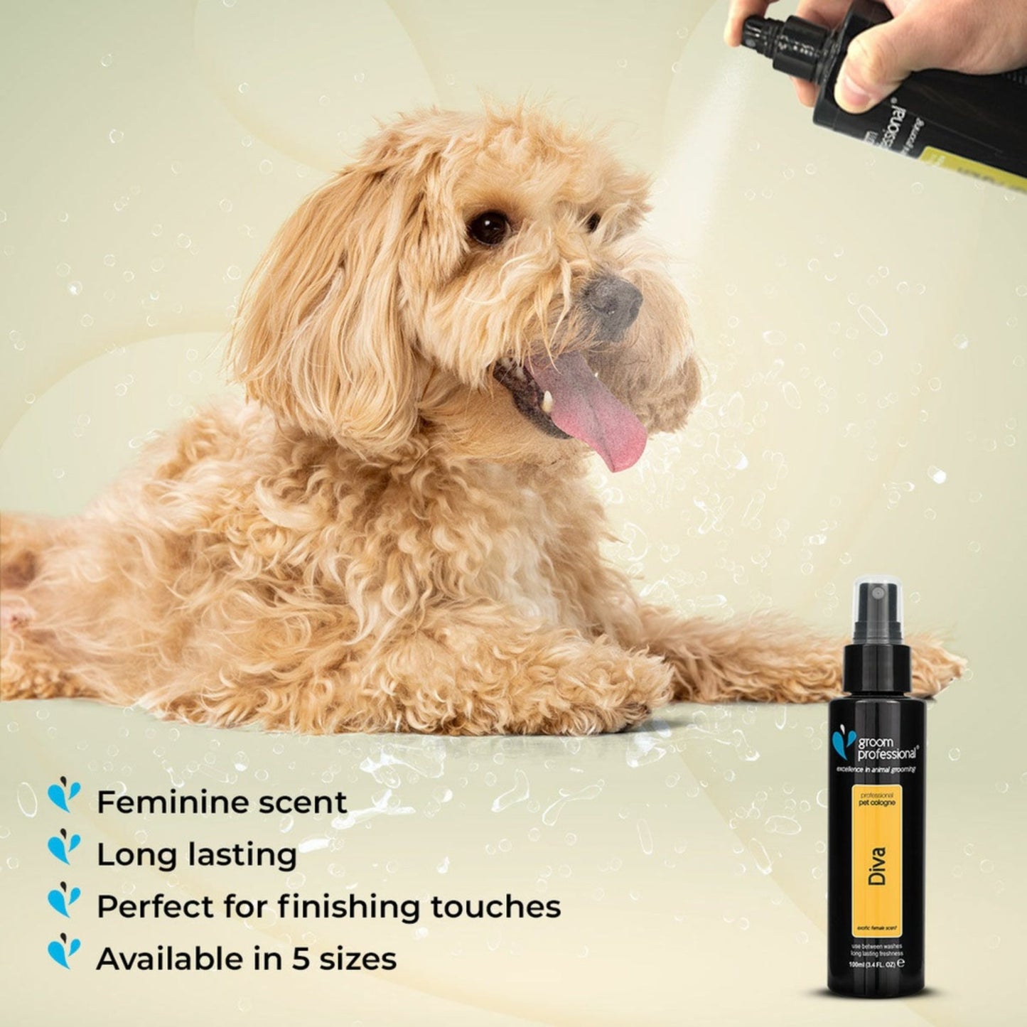 Groom Professional Diva Cologne – 100ml Exotic Female Scent