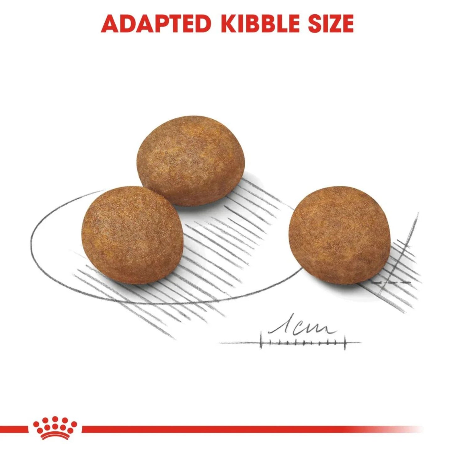 Royal Canin Maxi Puppy Healthy Dry Food