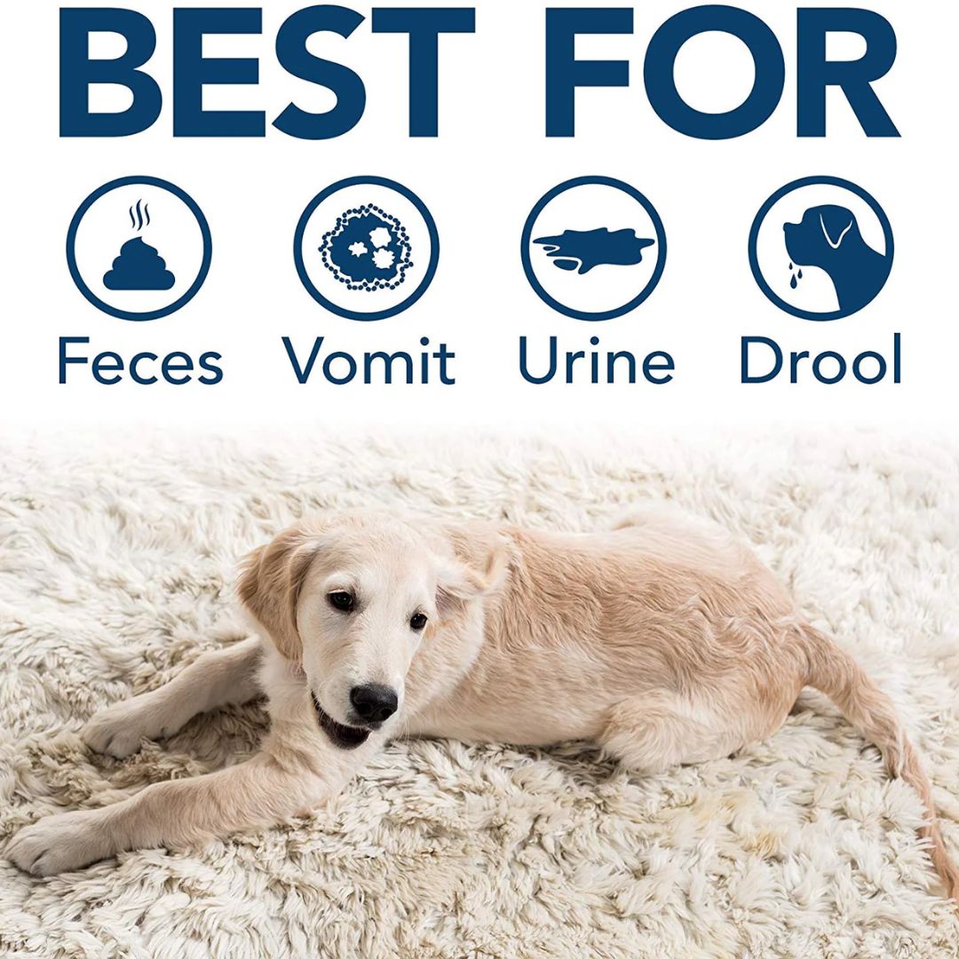 Simple Solution Extreme Cat Stain & Odour Remover Pet Enzyme Cleaner - 945ML