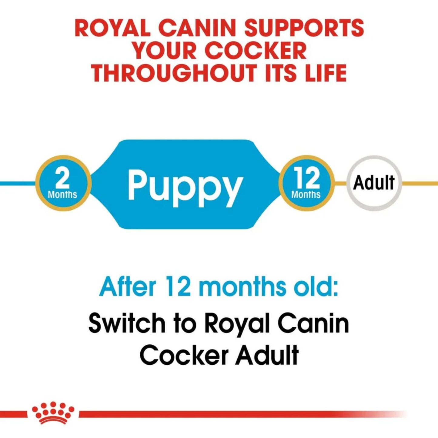 Royal Canin Breed Health Nutrition Cocker Puppy Dry Food - 3kg