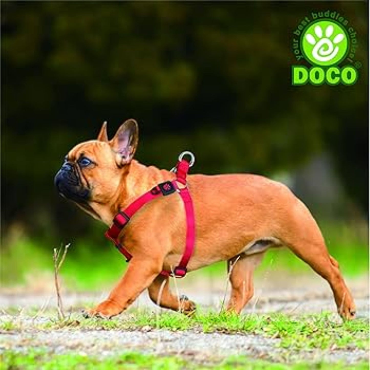 Doco Signature Step-In Harness + Nylon Dog Leash