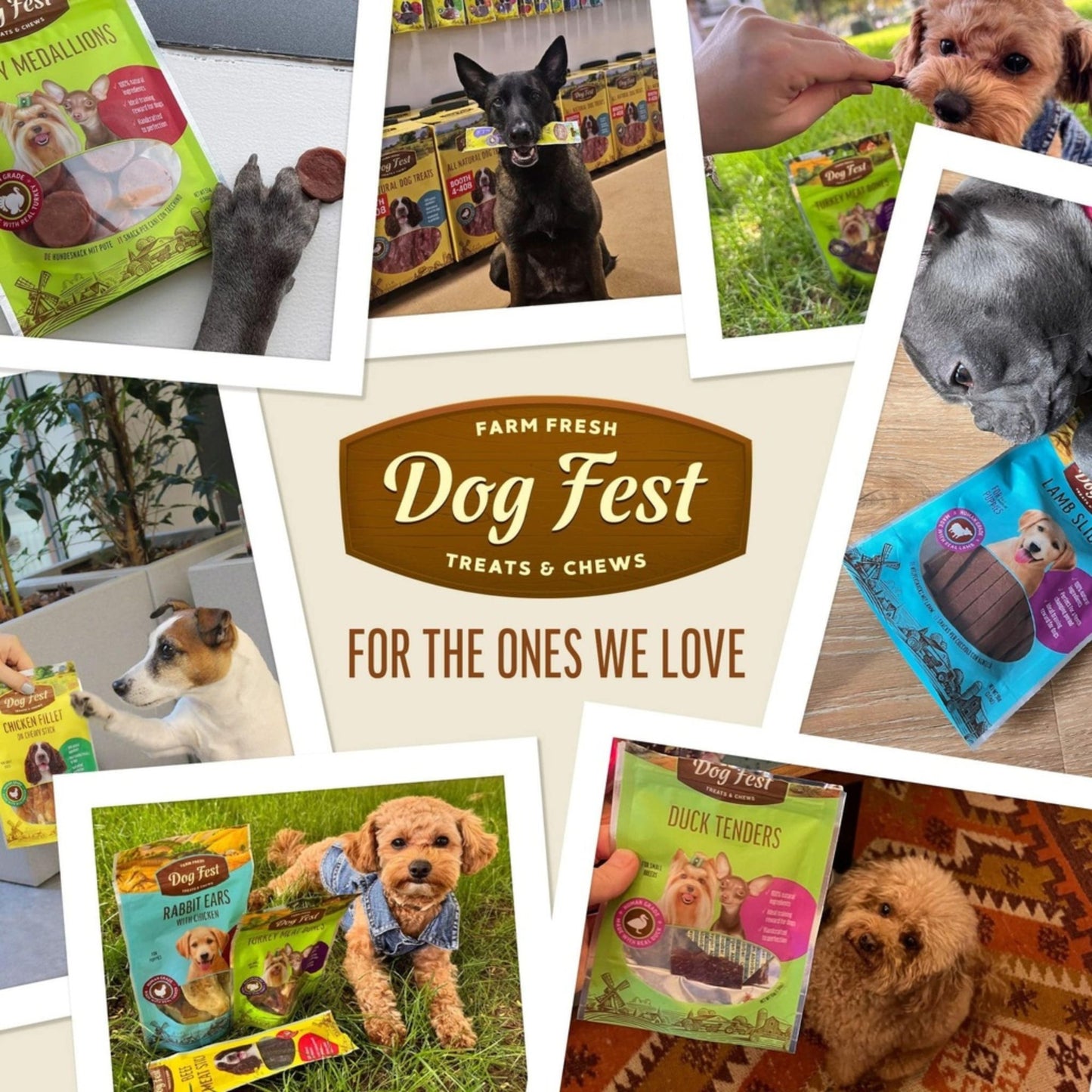 Dog Fest Training Treats Turkey & Flax Seeds