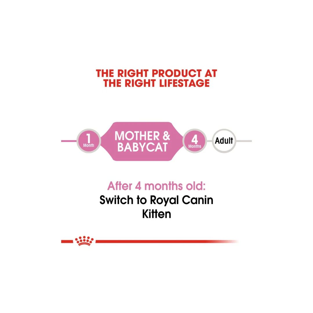 Royal Canin Feline Health Nutrition Mother & Babycat Mousse (WET FOOD )