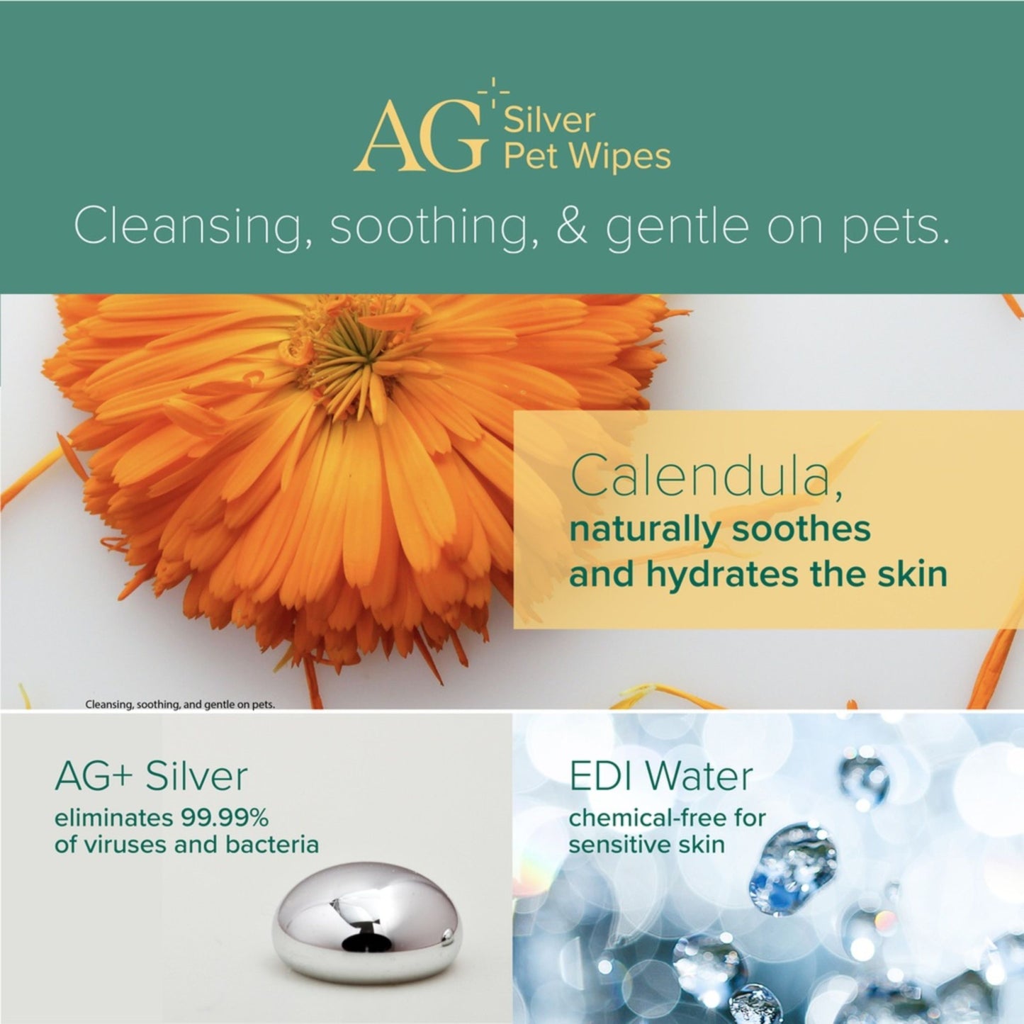 Advertisement for AG+ Silver Pet Wipes with calendula flower and water droplets.