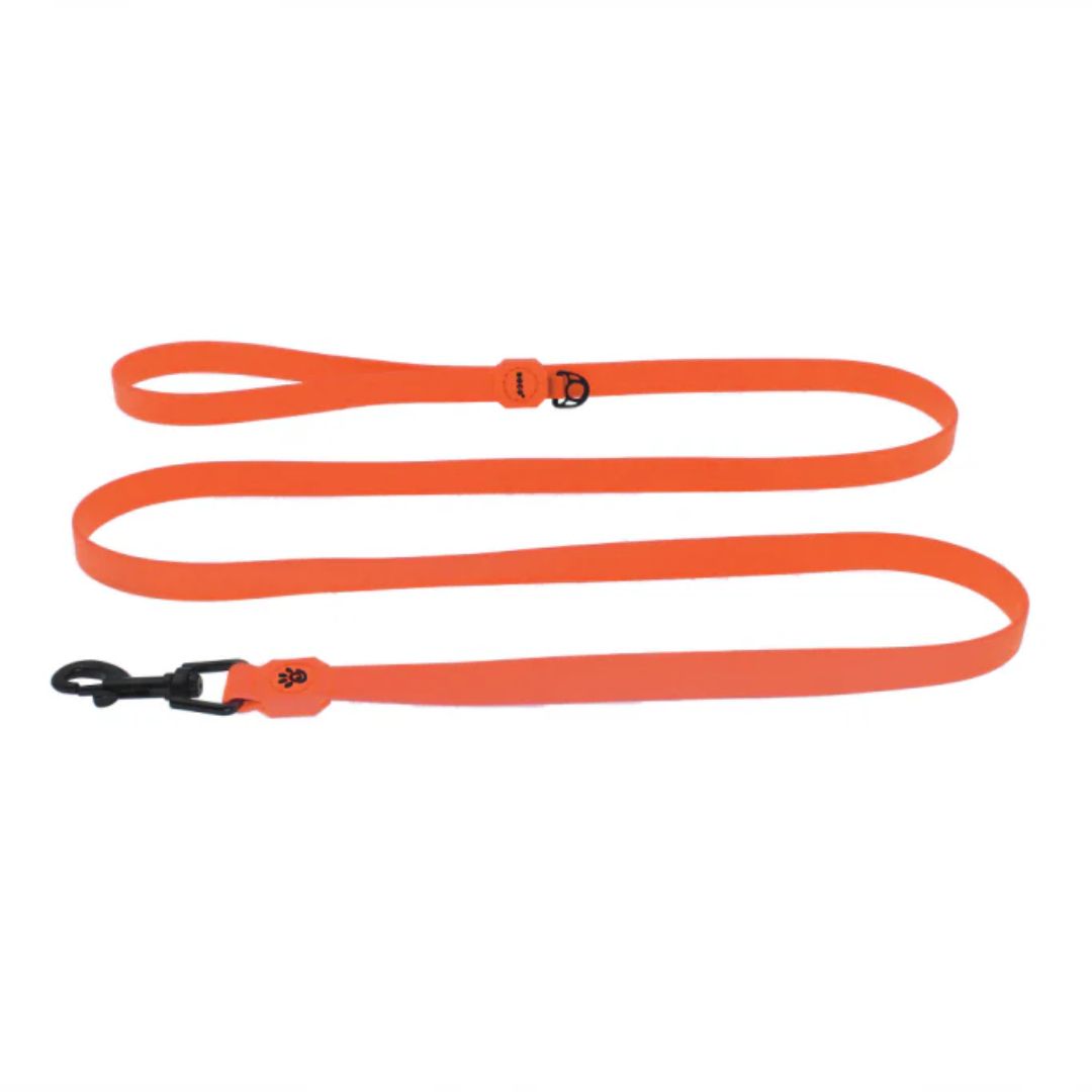 Doco Jelly Bean Dog Leash - 6Ft