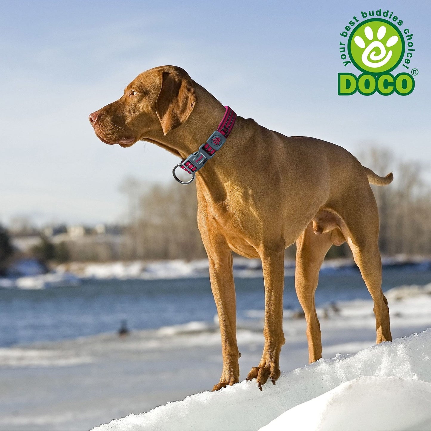 Dog standing on a snowy landscape with a blurred background and DOCO logo.