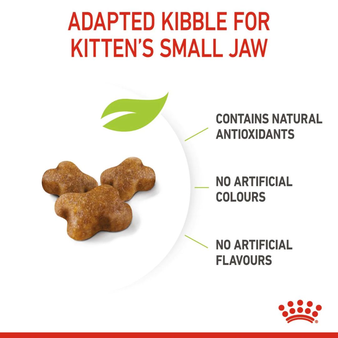 Royal Canin Feline Health Kitten Dry food 4kg